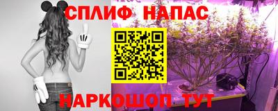 ПСИЛОЦИБИНОВЫЕ ГРИБЫ Кулебаки
