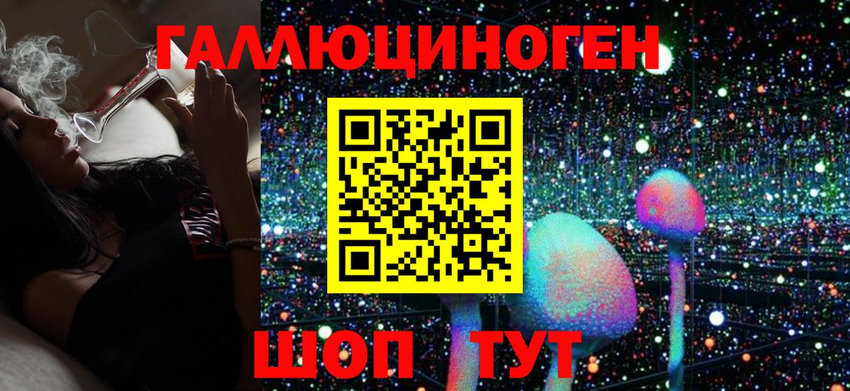 Псилоцибиновые грибы Cubensis Канаш