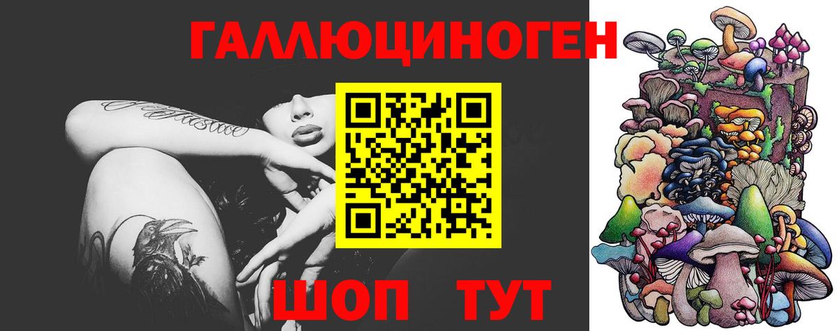 Псилоцибиновые грибы GOLDEN TEACHER  Галлюциногенные грибы прущие грибы  Канаш  Вход с VPN 